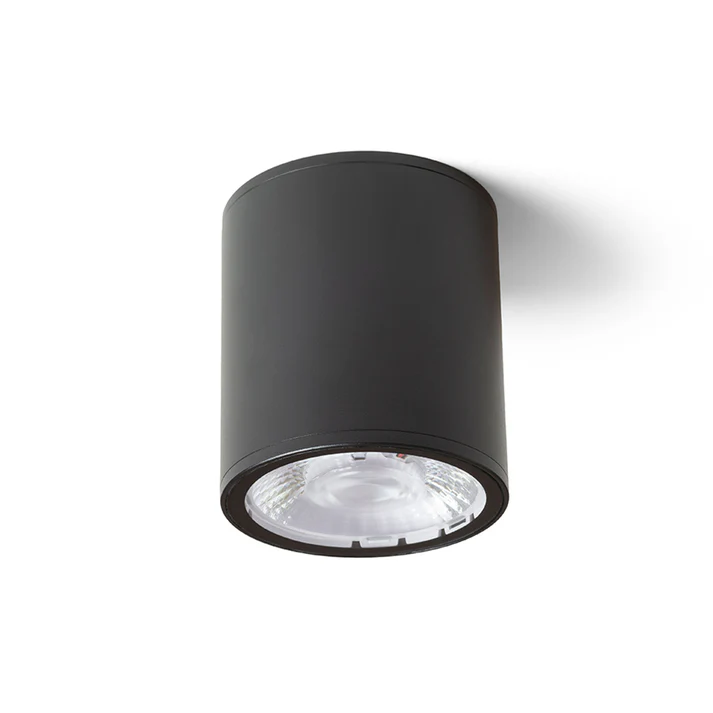 SPOT APLICAT KORNELIA 10 EXTERIOR DE TAVAN, 230V, LED, 15W, 3000K, IP65